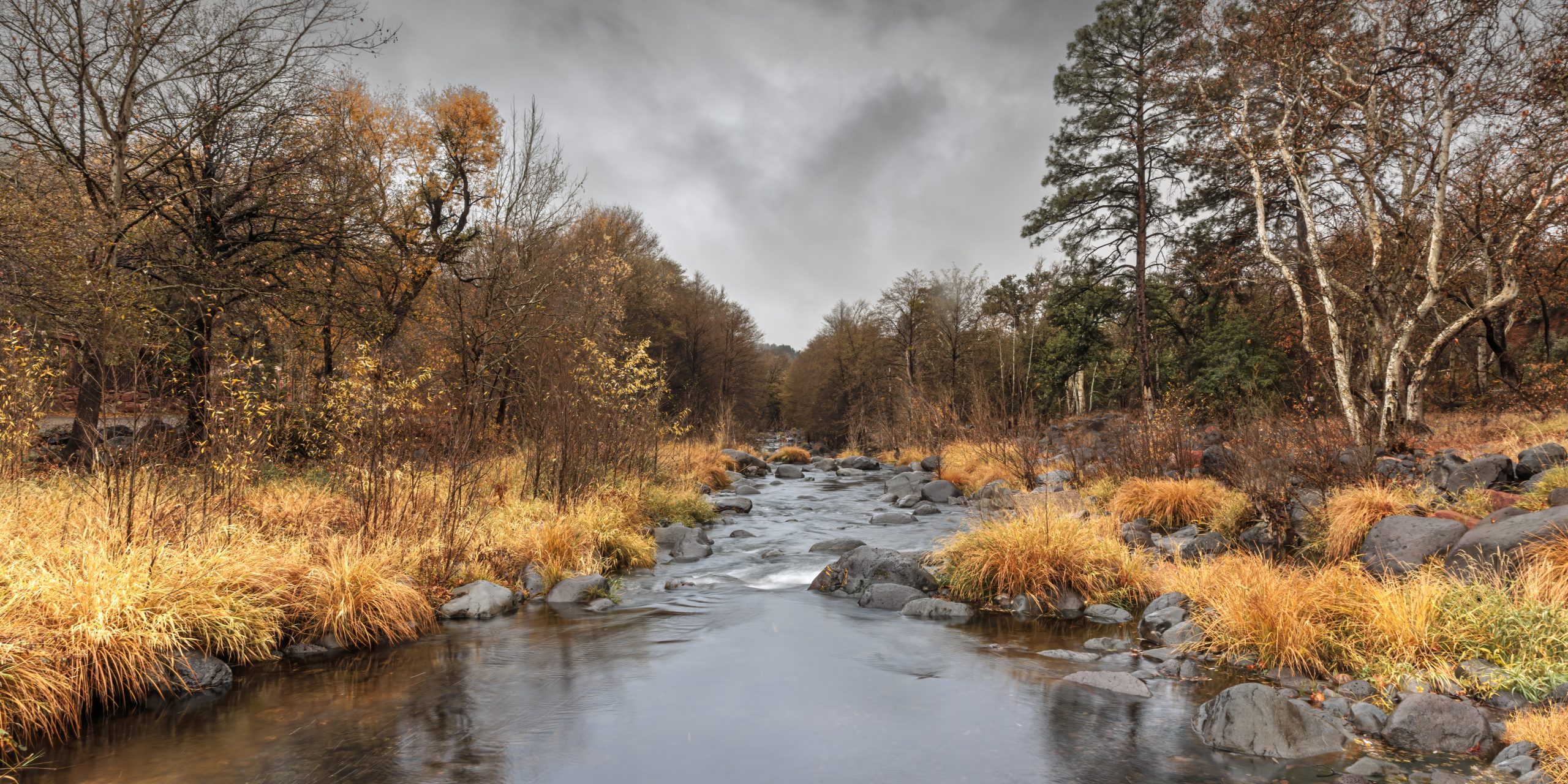 Paysage parc nationaux