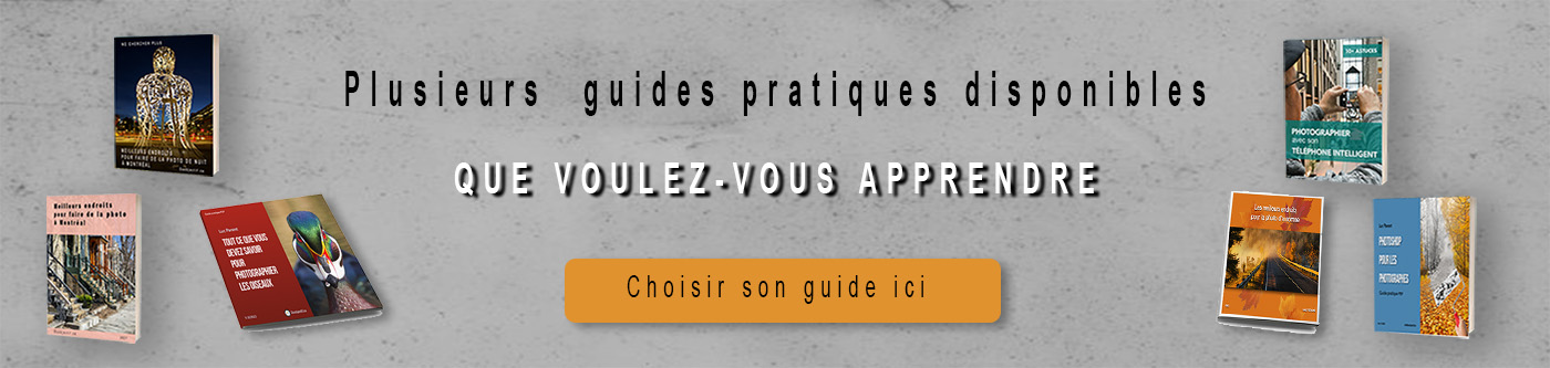 Guides pratiques