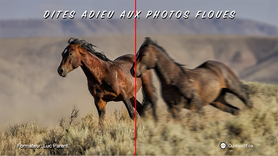 Dites adieu à vos photos floues