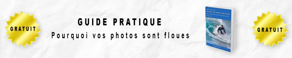 Bannière guide gratuit
