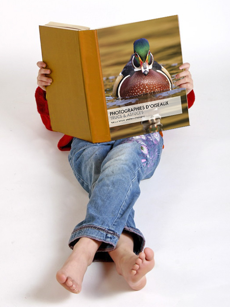 Guide pratique lecture